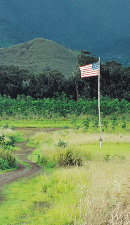 Field of American Dreams/Hanapepe, Kauai/Up to 8x10 image size