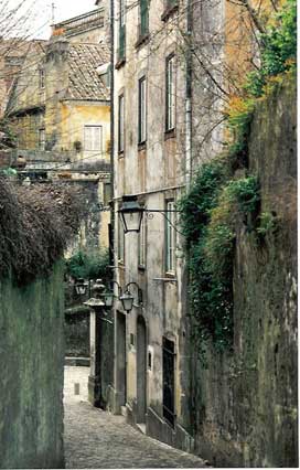 Path/Sintra, Portugal/All image sizes