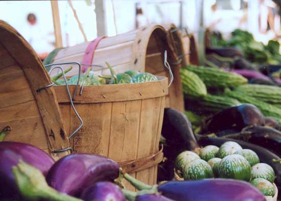 Summer Harvest