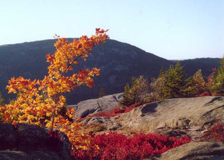 End of Trail/Mount Desert Island, Maine/All image sizes