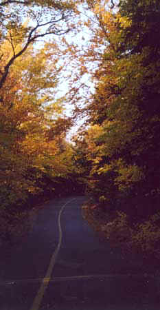 Journey/Mount Desert Island, Maine/All image sizes