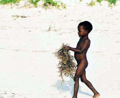 Boy Carries Brush/Matemwe, Zanzibar/All image sizes
