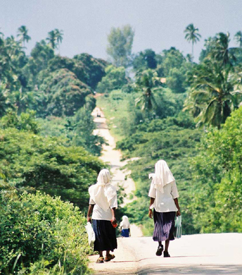 Top of Hill/Matemwe, Zanzibar/All image sizes