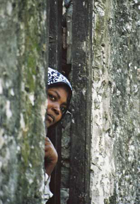 Peeking/Matemwe, Zanzibar/All image sizes