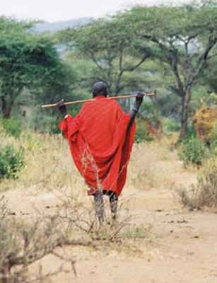 Pause/Longido, Tanzania/All image sizes