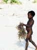 Boy Carries Brush/Matemwe, Zanzibar/All image sizes