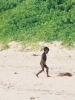 Boy Retrieves Brush/Matemwe, Zanzibar/All image sizes