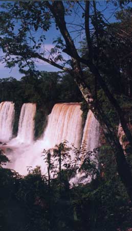 Splendor/Iguazu Falls, Brazil/All image sizes