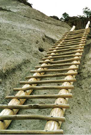 Ladder/Bandolier, New Mexico/All Sizes