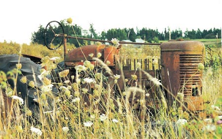 Tractor Graveyard/Lopez Island, Washington State/Up to 11 x 14 Image Size