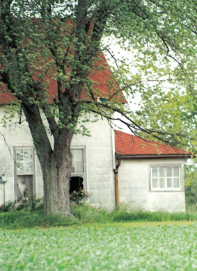 Broken Dreams/Rural Midwest/All image sizes